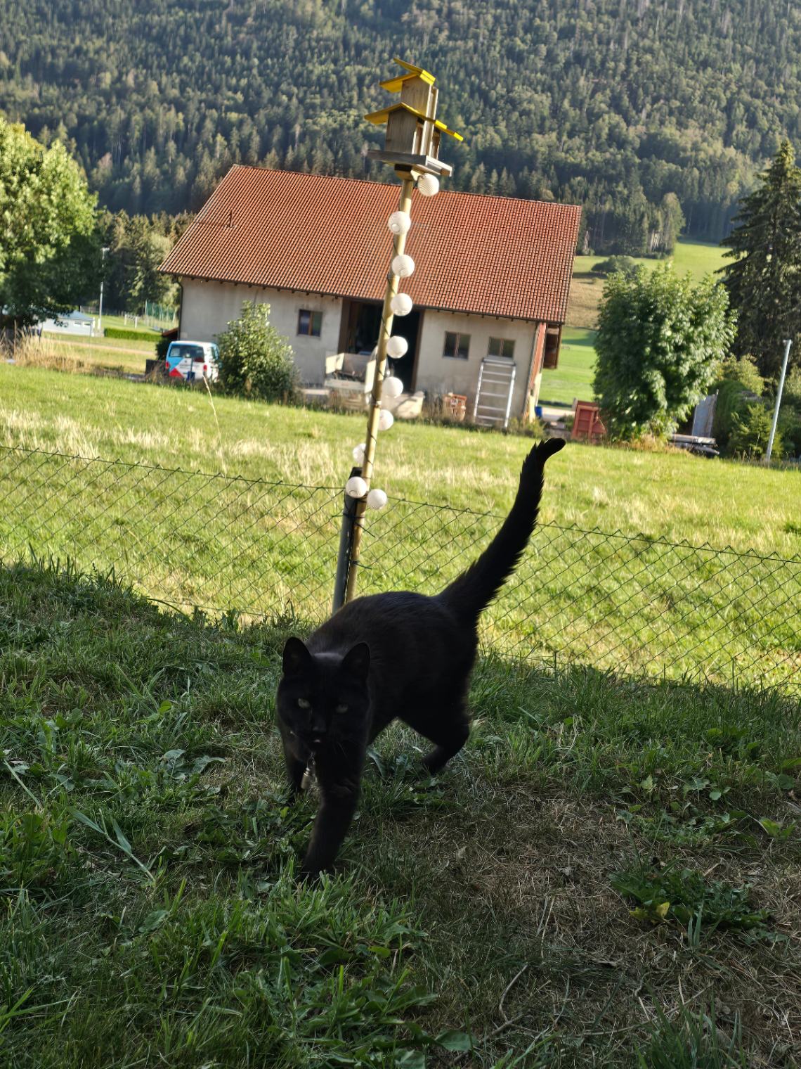 Photo de Alie