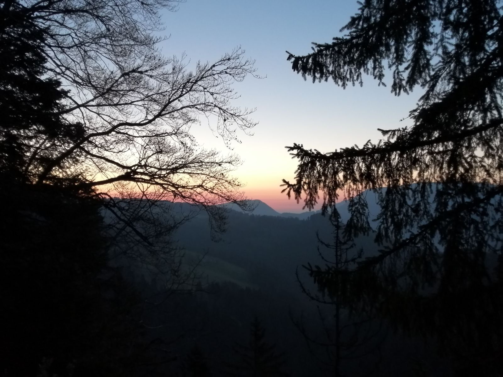 Photo de Cafe_05