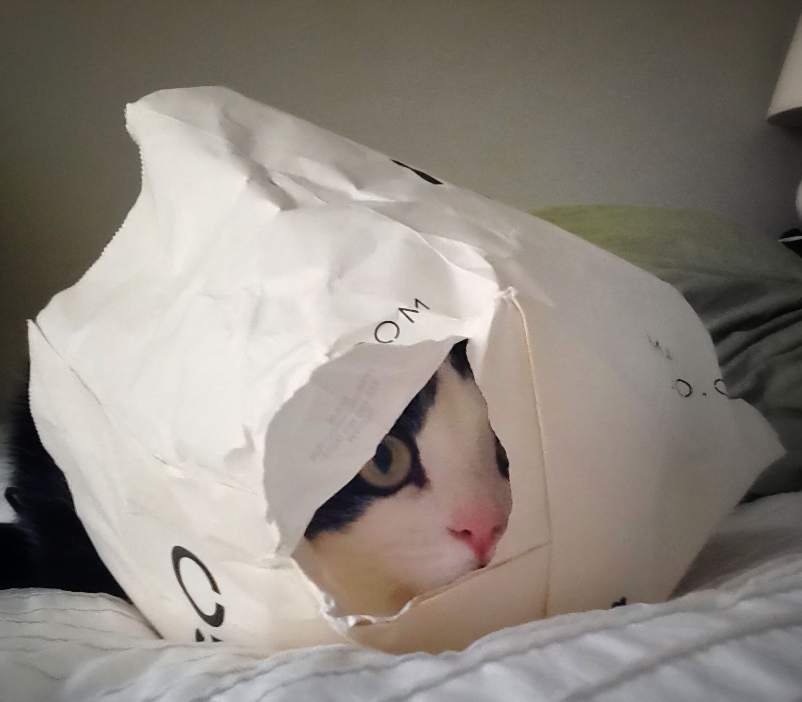 Papier