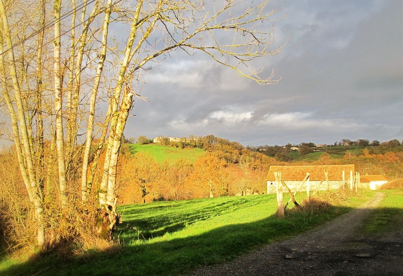 Campagne