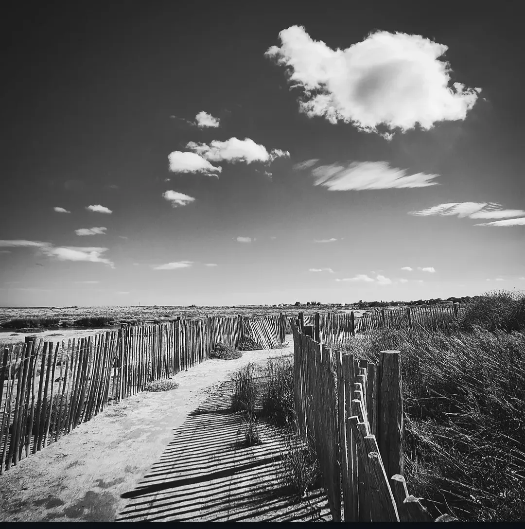 Photo de Saez