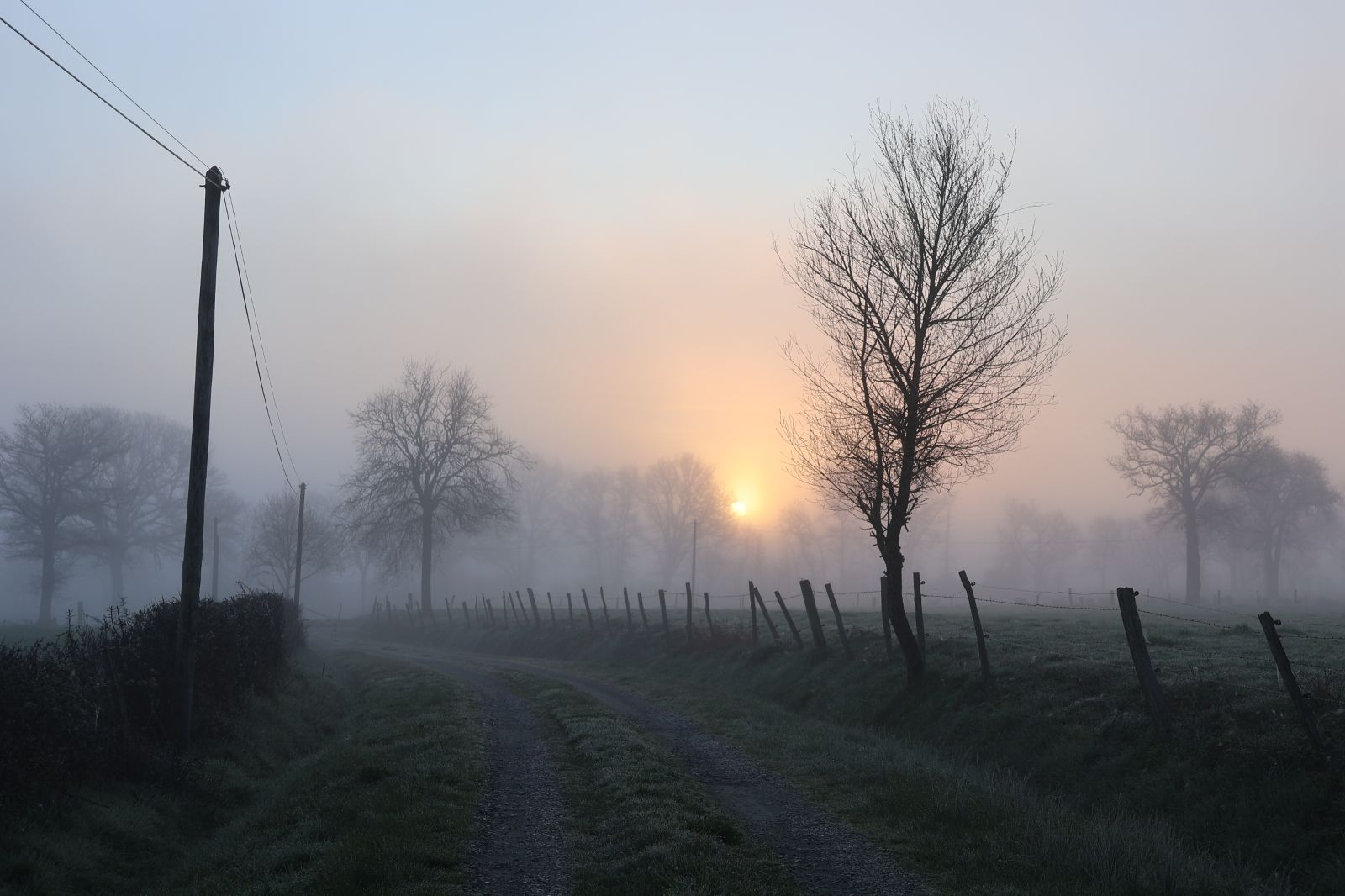 Photo de MAG