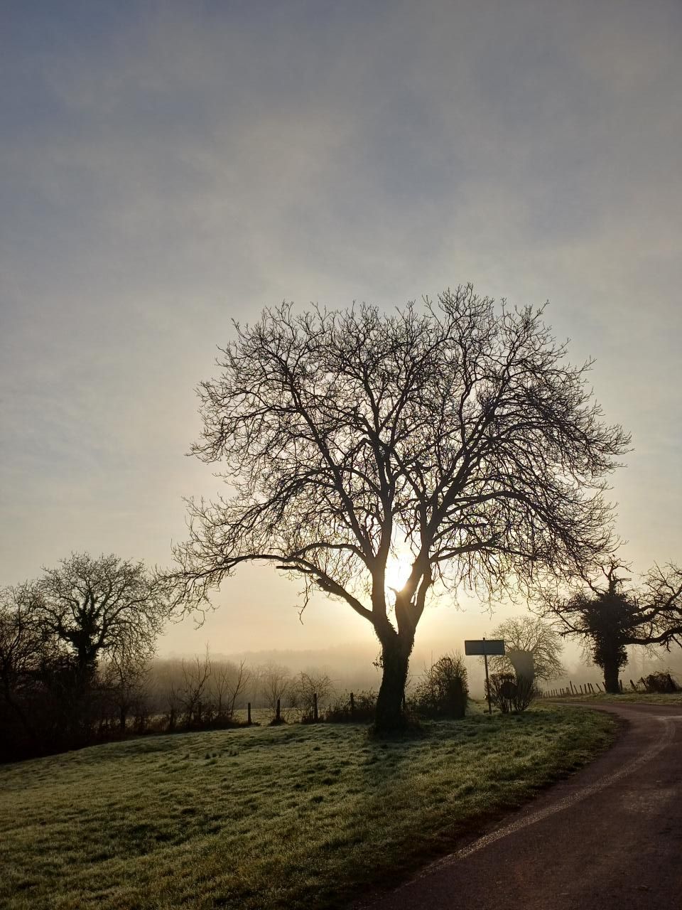 Photo de PHOTOCONCOURS