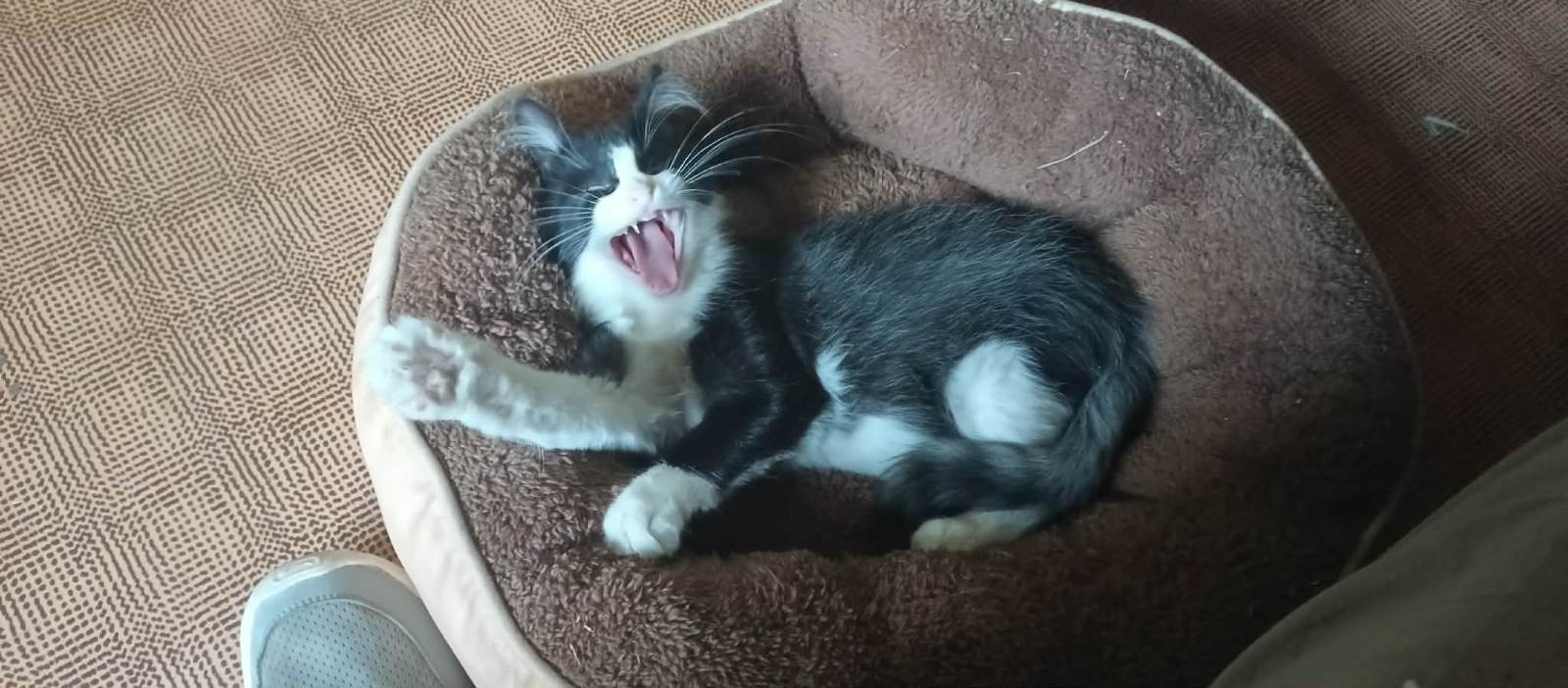 Photo de Gurzette